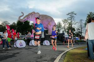 BIB: 
                            <button type="button" onclick="openModal(26529357)" class="btn btn-primary btn-sm float-right btn-popup" data-toggle="modal" data-target=".modal-high-quality">
                        <i class="fas fa-shopping-cart"></i> Add to Cart
                    </button>
                                            <button type="button" onclick="isThisMe(26529357, true)" class="btn btn-success btn-sm float-right btn-popup btn-isme hidden" data-toggle="tooltip" data-placement="bottom" title="นี่คือรูปของคุณใช่ไหม คลิกที่นี่เพื่อเอาเข้าอัลบั้ม">
                        <i class="fas fa-plus"></i> Add to album
                    </button>
                    <button type="button" onclick="isThisMe(26529357, false)" class="btn btn-warning btn-sm float-right btn-popup btn-isnotme hidden">
                        <i class="fas fa-ban"></i> Remove from album
                    </button>